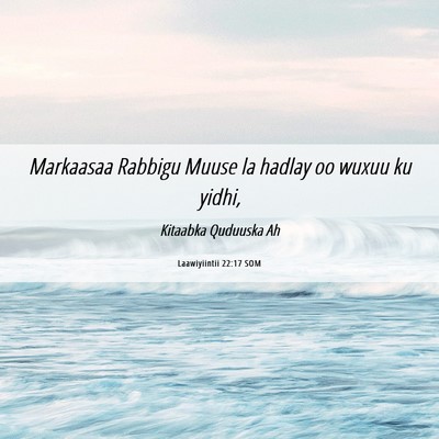 Picture 06 - Laawiyiintii 22:17 SOM - Markaasaa Rabbigu Muuse la hadlay oo wuxuu ku - Bible Verse Picture