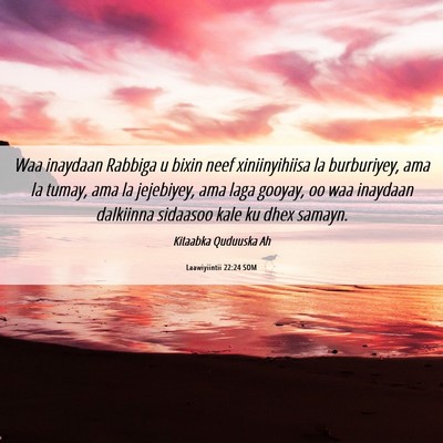 Picture 06 - Laawiyiintii 22:24 SOM - Waa inaydaan Rabbiga u bixin neef xiniinyihiisa - Bible Verse Picture