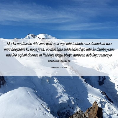 Picture 06 - Laawiyiintii 22:27 SOM - Markii uu dhasho dibi ama wan ama orgi intii - Bible Verse Picture