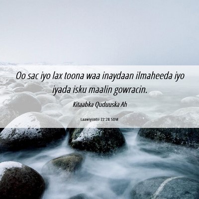Picture 06 - Laawiyiintii 22:28 SOM - Oo sac iyo lax toona waa inaydaan ilmaheeda iyo - Bible Verse Picture