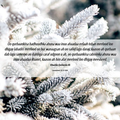 Picture 06 - Laawiyiintii 23:13 SOM - Oo qurbaankiisa hadhuudhka ahuna waa inuu ahaadaa - Bible Verse Picture