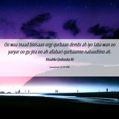 Picture 06 - Laawiyiintii 23:19 SOM - Oo waa inaad bixisaan orgi qurbaan dembi ah iyo - Bible Verse Picture