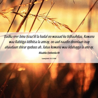 Picture 06 - Laawiyiintii 23:2 SOM - Dadka reer binu Israa'iil la hadal oo waxaad ku - Bible Verse Picture