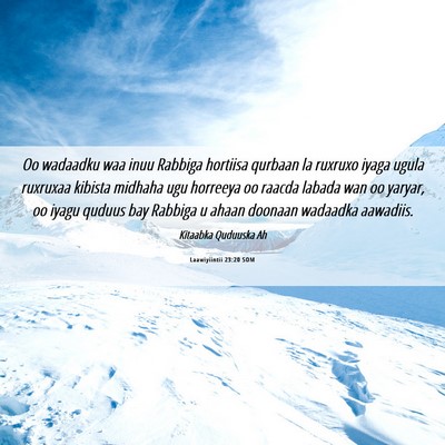 Picture 06 - Laawiyiintii 23:20 SOM - Oo wadaadku waa inuu Rabbiga hortiisa qurbaan la - Bible Verse Picture