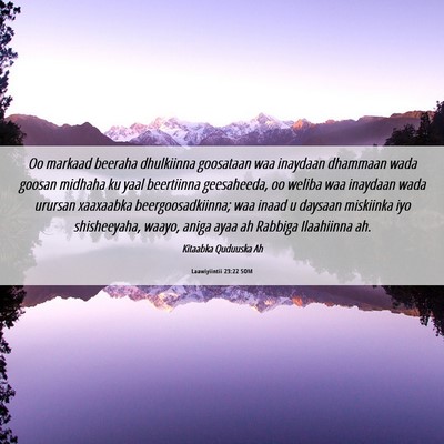 Picture 06 - Laawiyiintii 23:22 SOM - Oo markaad beeraha dhulkiinna goosataan waa - Bible Verse Picture