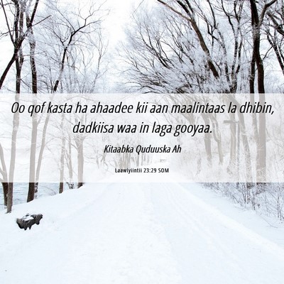 Picture 06 - Laawiyiintii 23:29 SOM - Oo qof kasta ha ahaadee kii aan maalintaas la - Bible Verse Picture