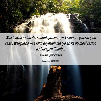 Picture 06 - Laawiyiintii 23:31 SOM - Waa inaydaan innaba shuqul qaban cayn kastoo uu - Bible Verse Picture