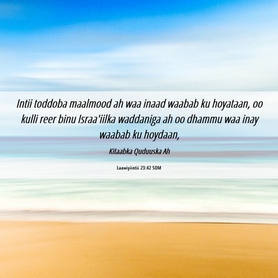 Picture 06 - Laawiyiintii 23:42 SOM - Intii toddoba maalmood ah waa inaad waabab ku - Bible Verse Picture
