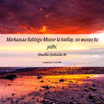 Picture 06 - Laawiyiintii 23:9 SOM - Markaasaa Rabbigu Muuse la hadlay, oo wuxuu ku - Bible Verse Picture