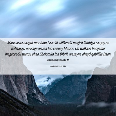 Picture 06 - Laawiyiintii 24:11 SOM - Markaasaa naagtii reer binu Israa'iil wiilkeedii - Bible Verse Picture