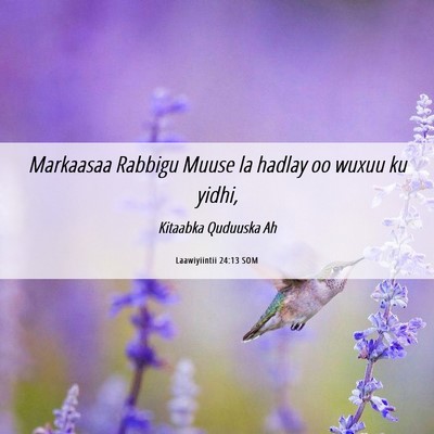 Picture 06 - Laawiyiintii 24:13 SOM - Markaasaa Rabbigu Muuse la hadlay oo wuxuu ku - Bible Verse Picture