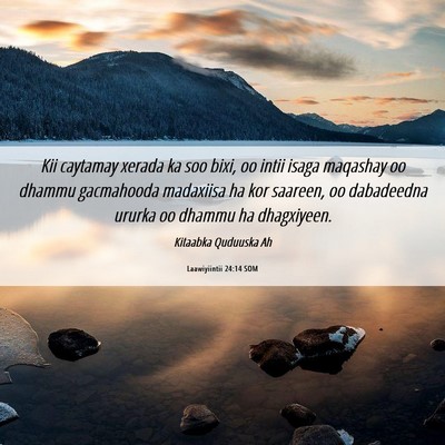 Picture 06 - Laawiyiintii 24:14 SOM - Kii caytamay xerada ka soo bixi, oo intii isaga - Bible Verse Picture