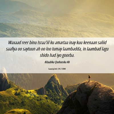 Picture 06 - Laawiyiintii 24:2 SOM - Waxaad reer binu Israa'iil ku amartaa inay kuu - Bible Verse Picture