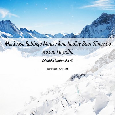 Picture 06 - Laawiyiintii 25:1 SOM - Markaasa Rabbigu Muuse kula hadlay Buur Siinay oo - Bible Verse Picture