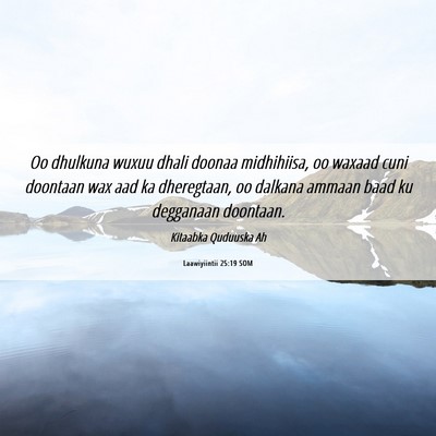 Picture 06 - Laawiyiintii 25:19 SOM - Oo dhulkuna wuxuu dhali doonaa midhihiisa, oo - Bible Verse Picture