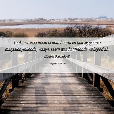 Picture 06 - Laawiyiintii 25:34 SOM - Laakiinse waa inaan la iibin beertii ku taal - Bible Verse Picture