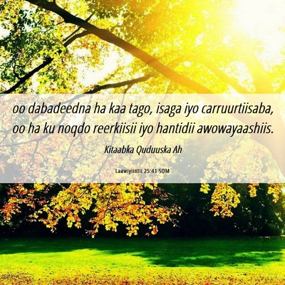 Picture 06 - Laawiyiintii 25:41 SOM - oo dabadeedna ha kaa tago, isaga iyo - Bible Verse Picture
