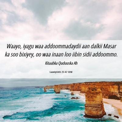 Picture 06 - Laawiyiintii 25:42 SOM - Waayo, iyagu waa addoommadaydii aan dalkii Masar - Bible Verse Picture