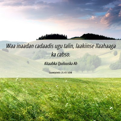 Picture 06 - Laawiyiintii 25:43 SOM - Waa inaadan cadaadis ugu talin, laakiinse - Bible Verse Picture