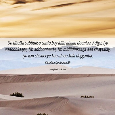 Picture 06 - Laawiyiintii 25:6 SOM - Oo dhulka sabtidiisu cunto bay idiin ahaan - Bible Verse Picture