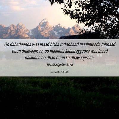 Picture 06 - Laawiyiintii 25:9 SOM - Oo dabadeedna waa inaad bisha toddobaad - Bible Verse Picture