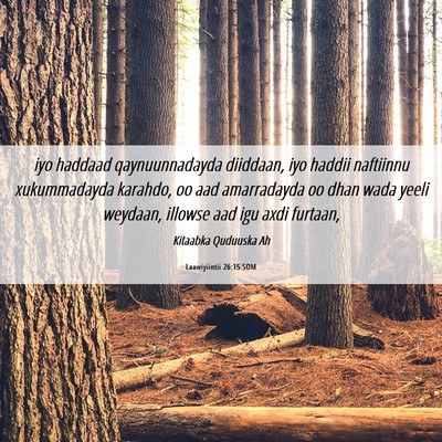 Picture 06 - Laawiyiintii 26:15 SOM - iyo haddaad qaynuunnadayda diiddaan, iyo haddii - Bible Verse Picture