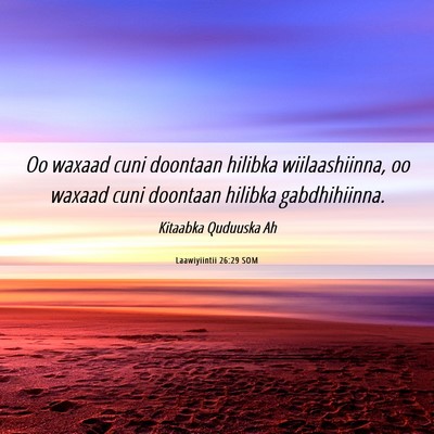 Picture 06 - Laawiyiintii 26:29 SOM - Oo waxaad cuni doontaan hilibka wiilaashiinna, oo - Bible Verse Picture