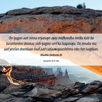Picture 06 - Laawiyiintii 26:37 SOM - Oo iyagoo aan ninna eryanayn ayaa midkoodba midka - Bible Verse Picture