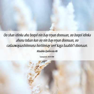 Picture 06 - Laawiyiintii 26:8 SOM - Oo shan idinka ahu boqol nin bay eryan doonaan, - Bible Verse Picture