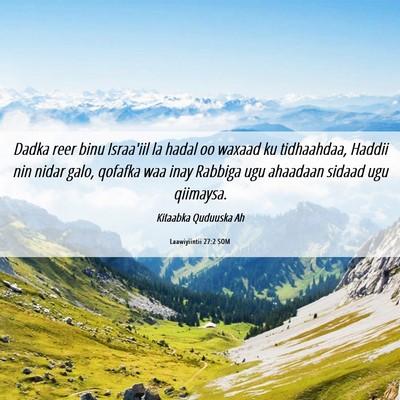 Picture 06 - Laawiyiintii 27:2 SOM - Dadka reer binu Israa'iil la hadal oo waxaad ku - Bible Verse Picture