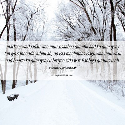 Picture 06 - Laawiyiintii 27:23 SOM - markaas wadaadku waa inuu xisaabaa qiimihii aad - Bible Verse Picture