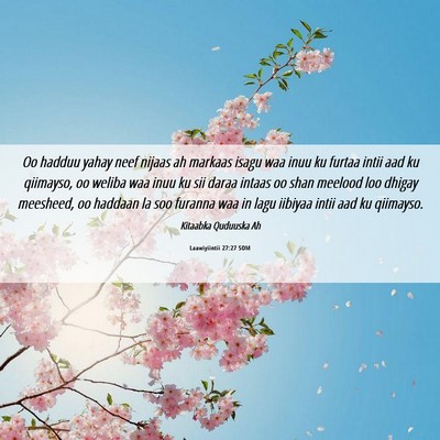 Picture 06 - Laawiyiintii 27:27 SOM - Oo hadduu yahay neef nijaas ah markaas isagu waa - Bible Verse Picture