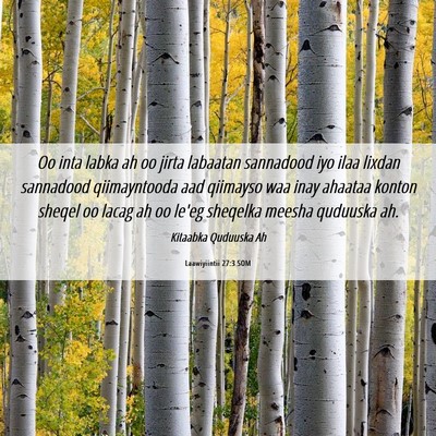 Picture 06 - Laawiyiintii 27:3 SOM - Oo inta labka ah oo jirta labaatan sannadood iyo - Bible Verse Picture