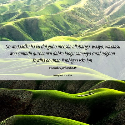 Picture 06 - Laawiyiintii 3:16 SOM - Oo wadaadku ha ku dul gubo meesha allabariga, - Bible Verse Picture