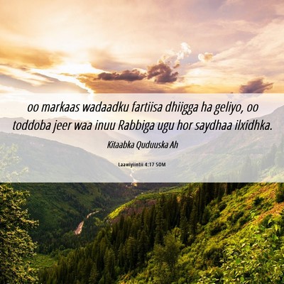 Picture 06 - Laawiyiintii 4:17 SOM - oo markaas wadaadku fartiisa dhiigga ha geliyo, - Bible Verse Picture