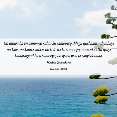 Picture 06 - Laawiyiintii 4:20 SOM - Oo dibiga ha ku sameeyo siduu ku sameeyey dibigii - Bible Verse Picture