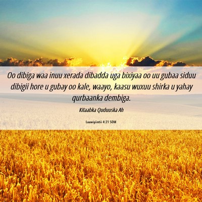 Picture 06 - Laawiyiintii 4:21 SOM - Oo dibiga waa inuu xerada dibadda uga bixiyaa oo - Bible Verse Picture