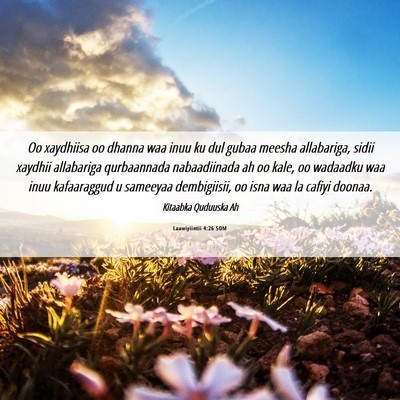 Picture 06 - Laawiyiintii 4:26 SOM - Oo xaydhiisa oo dhanna waa inuu ku dul gubaa - Bible Verse Picture