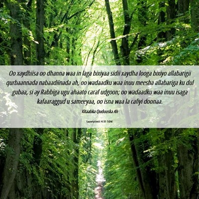 Picture 06 - Laawiyiintii 4:31 SOM - Oo xaydhiisa oo dhanna waa in laga bixiyaa sidii - Bible Verse Picture