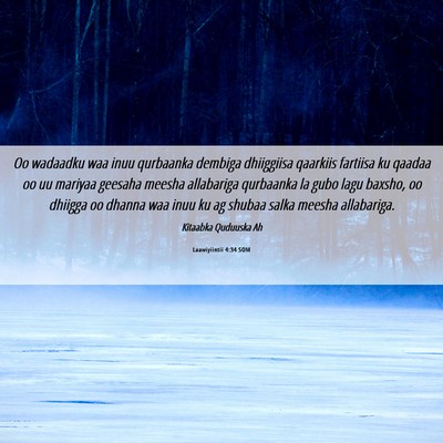 Picture 06 - Laawiyiintii 4:34 SOM - Oo wadaadku waa inuu qurbaanka dembiga dhiiggiisa - Bible Verse Picture
