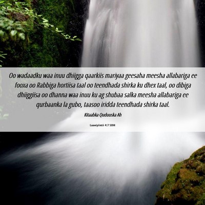 Picture 06 - Laawiyiintii 4:7 SOM - Oo wadaadku waa inuu dhiigga qaarkiis mariyaa - Bible Verse Picture