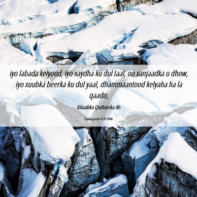 Picture 06 - Laawiyiintii 4:9 SOM - iyo labada kelyood, iyo xaydha ku dul taal, oo - Bible Verse Picture