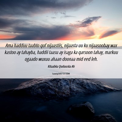 Picture 06 - Laawiyiintii 5:3 SOM - Ama hadduu taabto qof nijaastiis, nijaasta uu ku - Bible Verse Picture