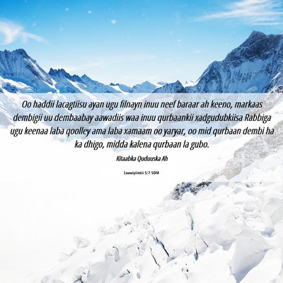 Picture 06 - Laawiyiintii 5:7 SOM - Oo haddii lacagtiisu ayan ugu filnayn inuu neef - Bible Verse Picture