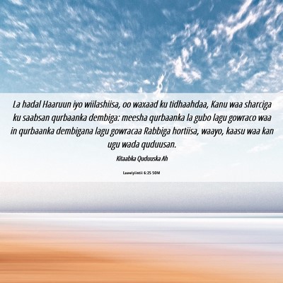 Picture 06 - Laawiyiintii 6:25 SOM - La hadal Haaruun iyo wiilashiisa, oo waxaad ku - Bible Verse Picture