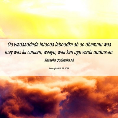 Picture 06 - Laawiyiintii 6:29 SOM - Oo wadaaddada intooda laboodka ah oo dhammu waa - Bible Verse Picture