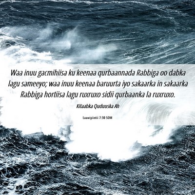 Picture 06 - Laawiyiintii 7:30 SOM - Waa inuu gacmihiisa ku keenaa qurbaannada Rabbiga - Bible Verse Picture