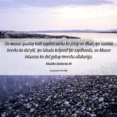 Picture 06 - Laawiyiintii 8:16 SOM - Oo wuxuu qaaday kulli xaydhii uurka ku jirtay oo - Bible Verse Picture