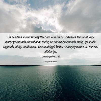 Picture 06 - Laawiyiintii 8:24 SOM - Oo haddana wuxuu keenay Haaruun wiilashiisii, - Bible Verse Picture