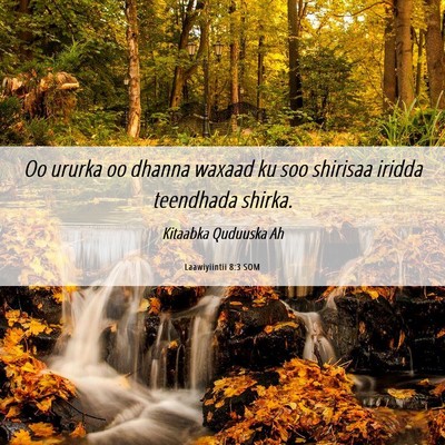 Picture 06 - Laawiyiintii 8:3 SOM - Oo ururka oo dhanna waxaad ku soo shirisaa iridda - Bible Verse Picture